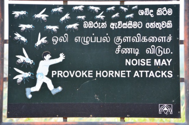 1. Sri Lanka, Sigirya