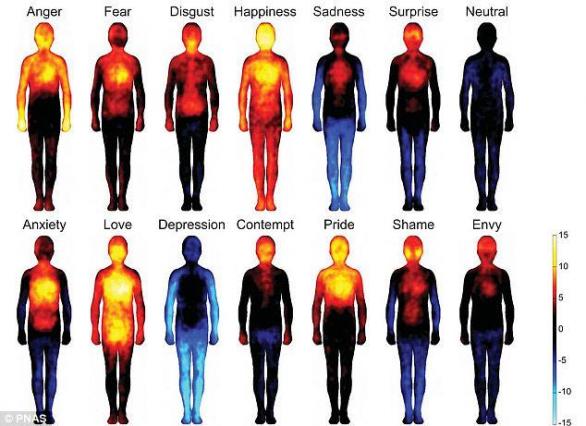 Naše tělo reaguje na emoce i změnou vnitřní teploty.