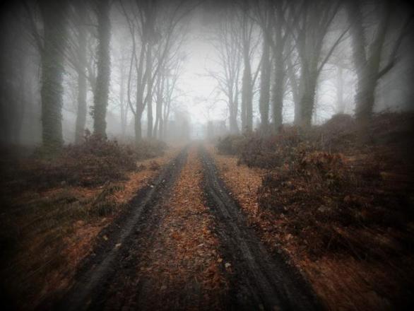 V podzimní mlze se schovávají brány opuštěného hřbitova bláznů