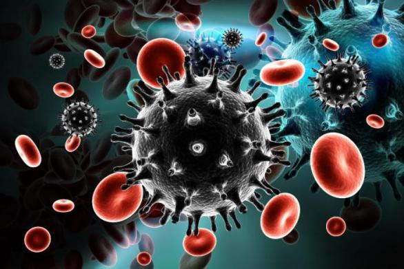 Virus HIV mezi červenými krvinkami.