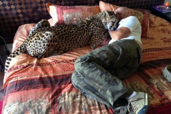 Gepardice Fiela pomohla své majitelce Rianě překonat chemoterapii po dvojité mastektomii