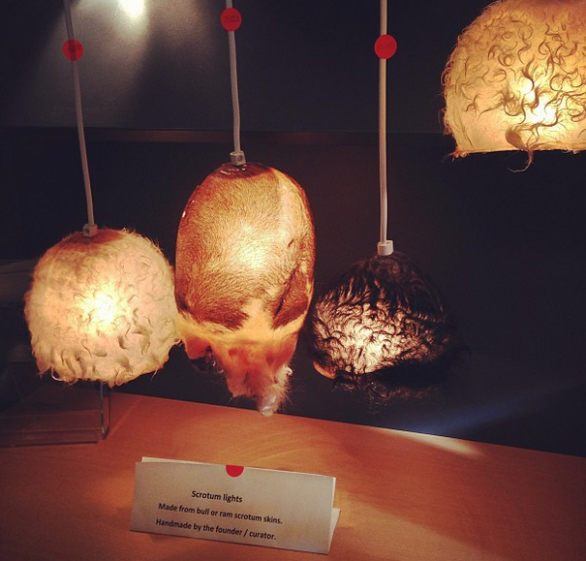 V muzeu můžete obdivovat a případně i zakoupit například tyhle překrásné, stylové a bezpochyby originální „šourkové lampy“ vyrobené z býčích či beraních ‚pytlíků‘