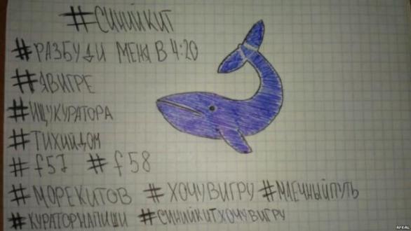 Ruské hashtagy, které používají &quot;hráči&quot; Modré velryby. Téma sebevražd bylo u utrápených teenagerů vždy populární.