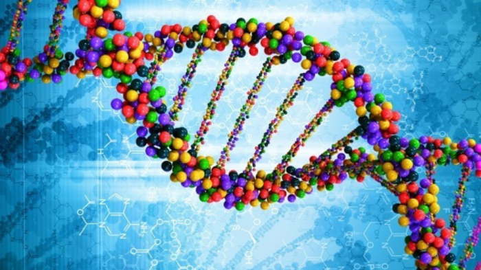 Díky jediné buňce se zachovanou DNA o sobě zjistíte všechno.