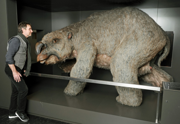 Rekonstrukce pradávného megavombata vystavená v v Australeském muzeu v Sydney