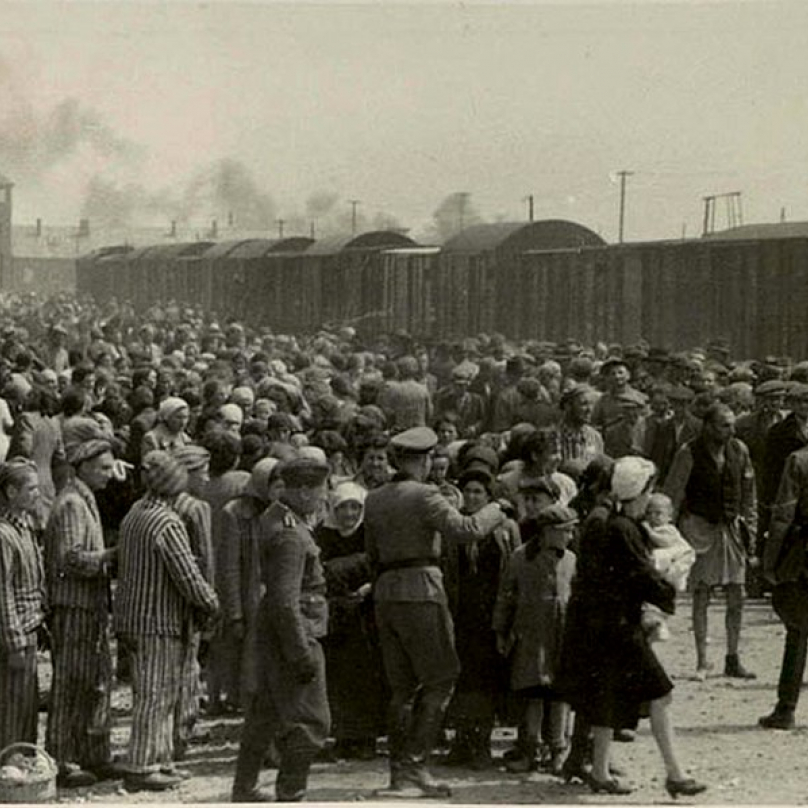 Selekce v koncentračním táboře v Osvětimi.