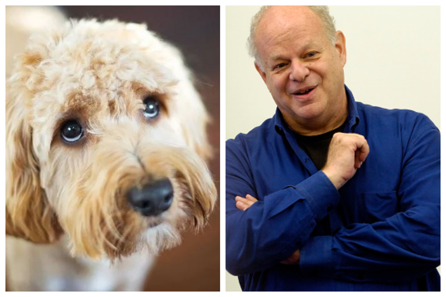 Martin Seligman G.cz