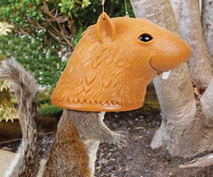 squirrel-head-feeder