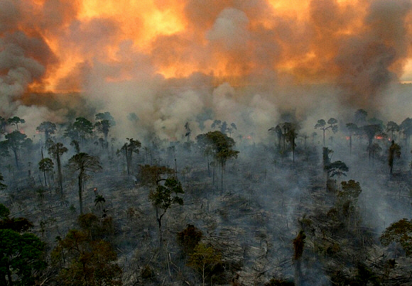 Burning rainforest-001a