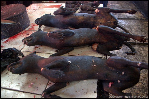 More-dog-meat-at-Tomohon-Traditional-Market-Tomohon-Sulawesi-Indonesia_thumb