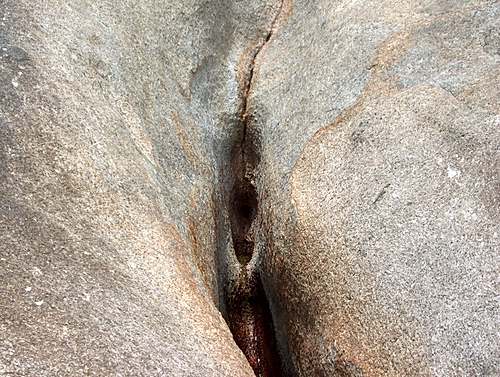 vaginas in nature 