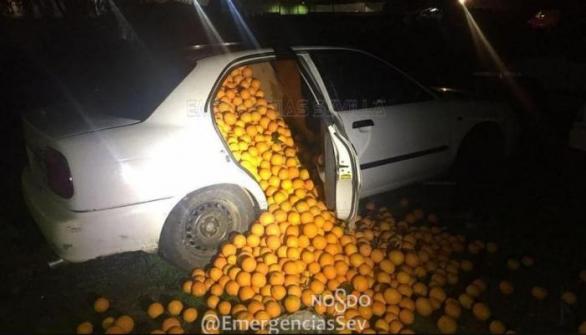 Je zima, imunita se musí posilovat! Ve Španělsku parta lupičů ukradla čtyři tuny pomerančů.