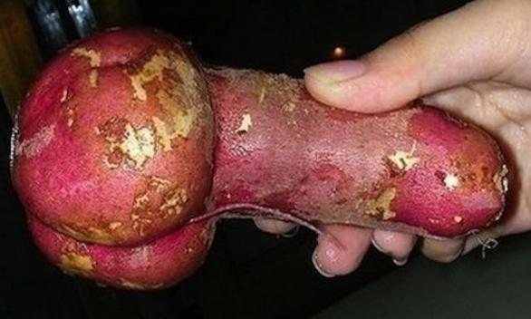 Velký penis pirát