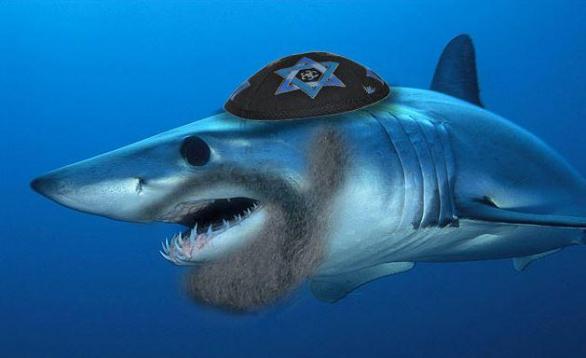 Židovský žralok zabiják, jehož útoky nejsou vůbec košer.