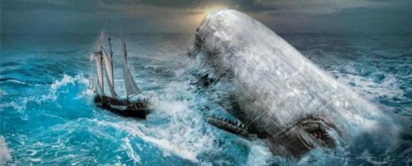 Ochránci velryb říkají jen půlku pravdy