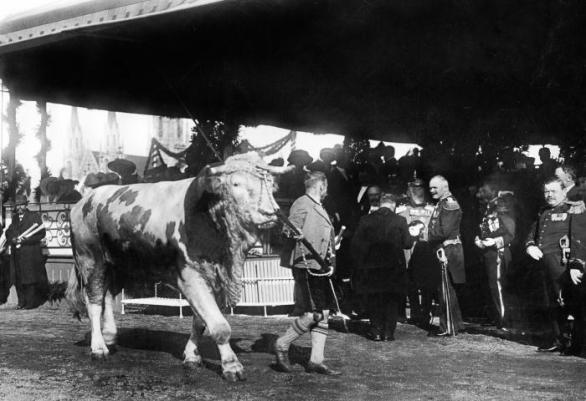 Nejen slavnost piva, ale zemědělství jako takového – 1910
