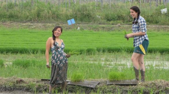 Za úspěchem ženy vlevo na matematické soutěži stojí pěstování rýže.