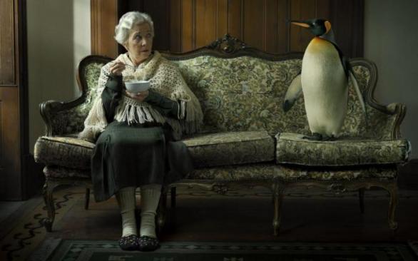 Vaše babička si s vaším partnerem tučňákem nebude mít o čem povídat.