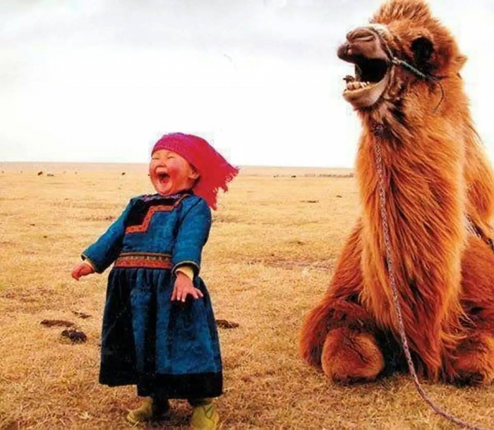 Čtyřletá mongolská holčička má z velkých velbloudů pro strach uděláno