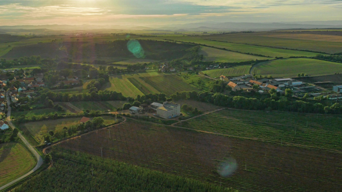 Blšany a jeho chmelnice. Probíhá sklizeň žateckého poloraného červeňáku - skvělý jemně aromatický chmel. Vinaři se radují z pohledu na vinice, pivaři z pohledu na chmelnice.