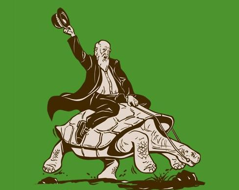 Ilustrace toho, co se doopravdy stalo. Poté, co Darwin na želvě, která zažila 18. století, jezdil, ji zabil a snědl. Sympaťák.