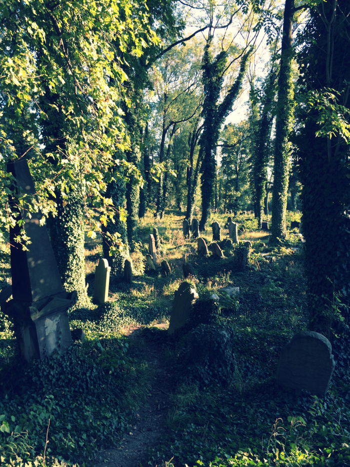 Těšínský židovský hřbitov má nepopsatelnou atmosféru.