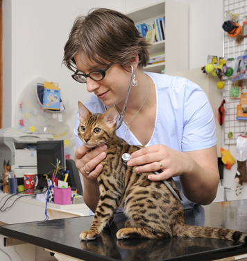 Doktorka Načeradská má blízký vztah i ke kočkám, doma chová dvě.