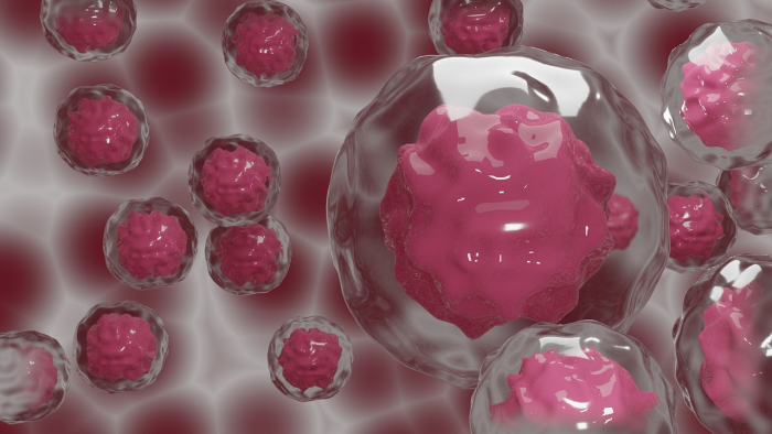 grafické zpodobnění kmenových buněk