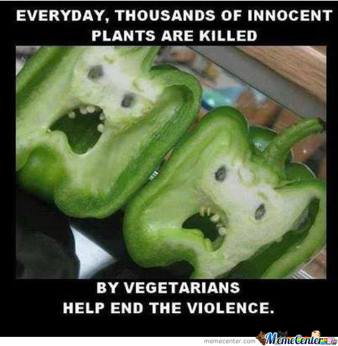 Každý den zemřou tisíce nevinných rostlin kvůli vegetariánům. Pomoz zastavit násilí!
