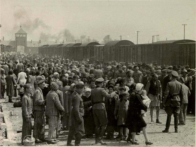 Selekce v koncentračním táboře v Osvětimi.