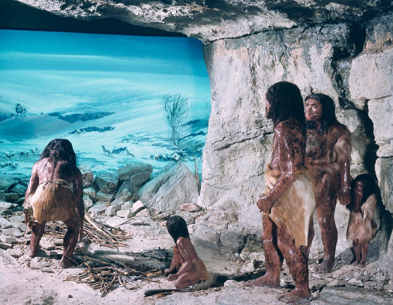 Early humans watched their fires. Музей неандертальца Неандерталь. Древние люди неандертальцы. Древние люди - Палеоантропы, неандертальцы. Каменный век неандертальцы.