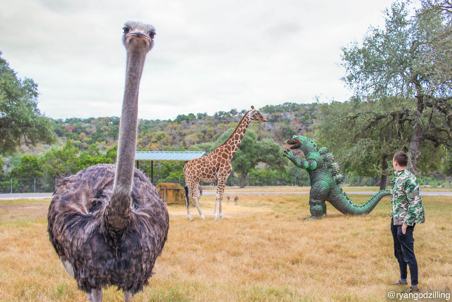 Kieran a Ryan na návštěvě v ZOO. Godzillák se, zdá se, zamiloval do žirafy.