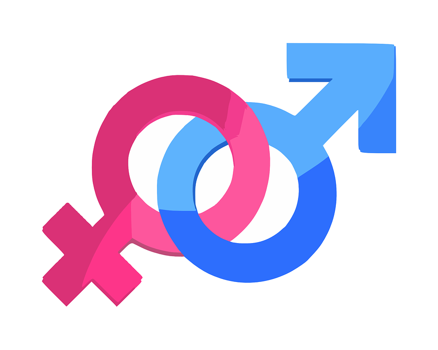 3.Genderová studia