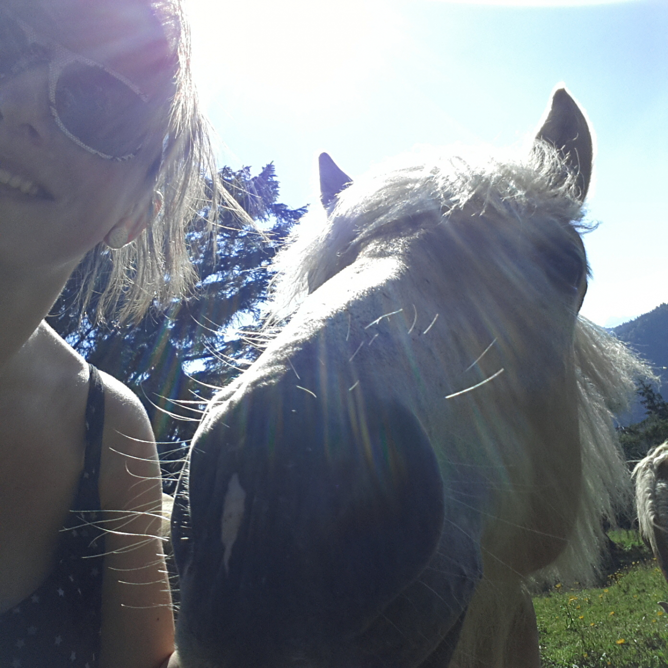 Nemusela jsem ani žádat o svolení - koně mi do záběru na selfie prakticky sami lezli