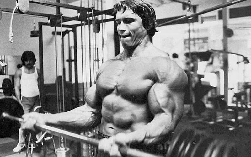 Z pohublého chlapce se stal jednou z největších kulturistických legend. I to je důkazem Schwarzeneggerovy cílevědomosti.