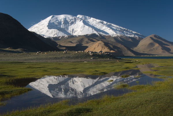 Je to Čína, není to Čína? Otázka pro chytrou horákyni...