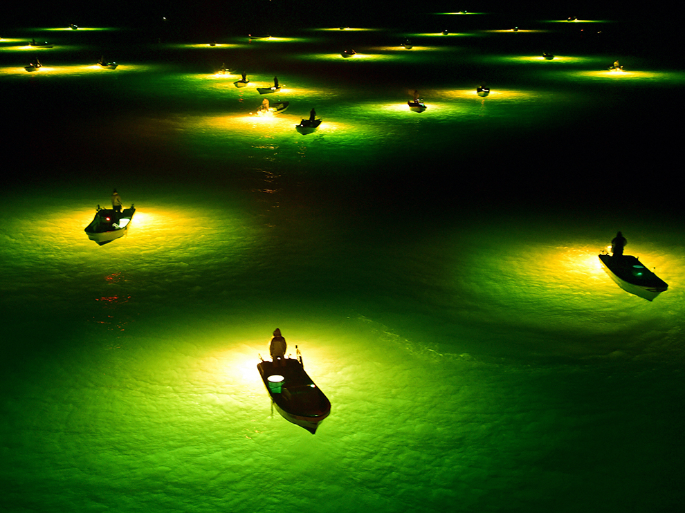 "Rybáři na japonské řece Yoshino čekají na úhoře, které přiláká jasné světlo. Tenhle způsob rybolovu se nejlépe provádí za temné noci. Jakmile se úhoř přiblíží, rybáři je zachytí do sítí."