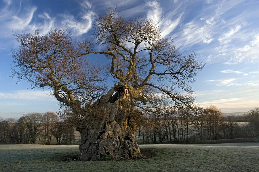 Silton, Dorset, Velká Británie