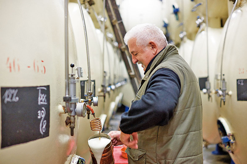 O tom, jestli je pivo správně uleželé, rozhodují dodnes zkušené chuťové pohárky vrchního sládka.