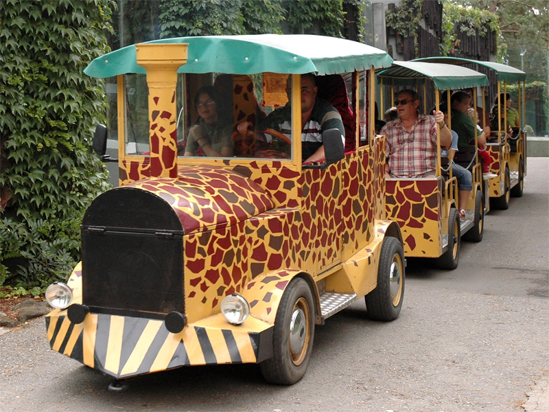 Jízda do kardiovaskulárních pekel v "safari-vláčku" olomoucké ZOO 