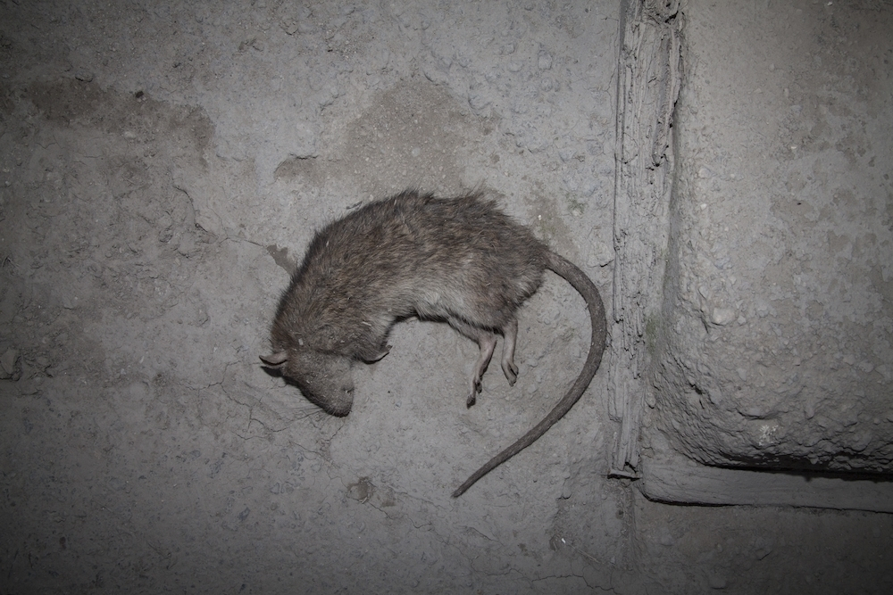 ...kolikrát ztratíme přítele.