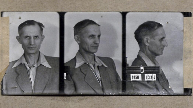 Josef Vávra-Stařík