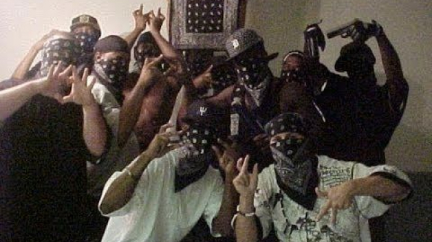 gang Black Disciples