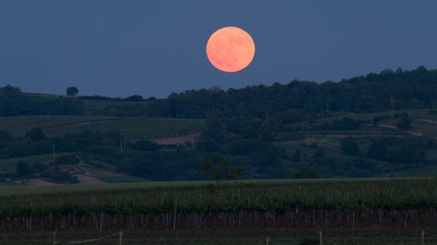 Měsíc v úplňku nad moravskými vinicemi. Takhle nějak to bude 25. prosince vypadat – Slunce zapadne kolem čtvrté a o půl hodiny později vyjde Měsíc 