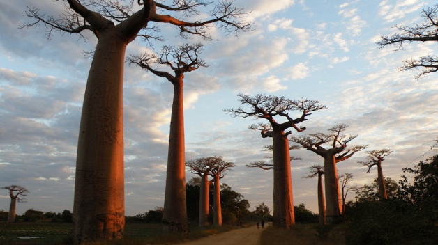 Menabe, Madagascar