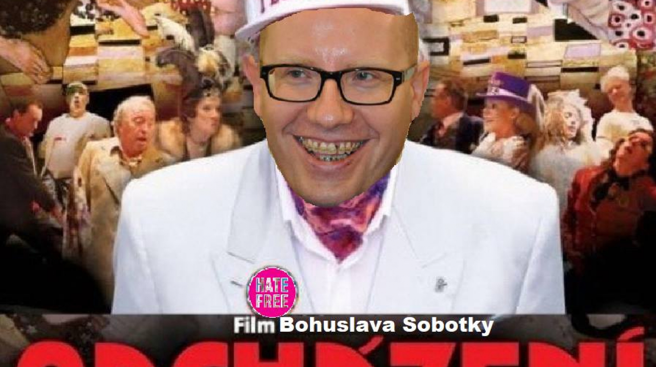 Odcházení Bohuslava Sobotky. Někdejší český premiér končí ve vysoké politice. Fňuk.