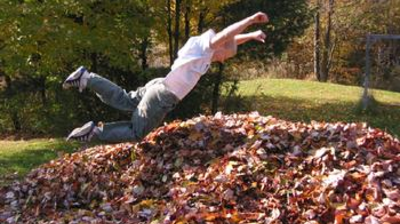 Fall used. Jump in a pile of leaves. Jump in a pile of leaves вектор. Jump in. Jump in the piles of leaves рисованное.