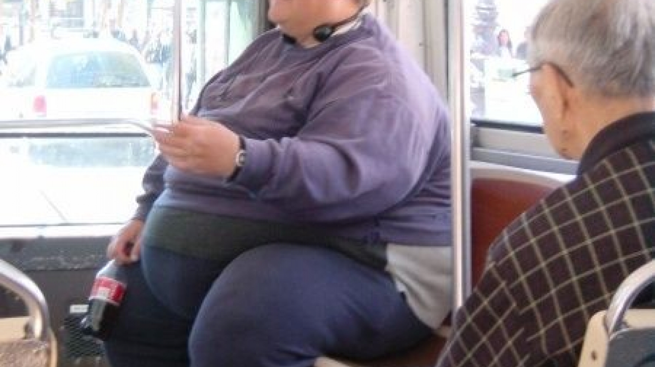 Тетка в автобусе. Толстый человек в автобусе. Толстый мужик в автобусе. Толстый в маршрутке.