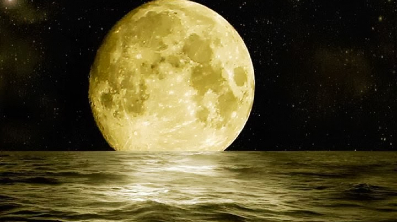 Měsíc nad Pacifikem u pobřeží Austrálie. Gravitační síly Měsíce a Slunce působí pouze na velké masy vody, naše tělo (byť je z 75% z vody) nechávají ‚bez povšimnutí‘, přesněji řečeno ovlivňují jej v tak malé míře, že si toho člověk nemá šanci všimnout.