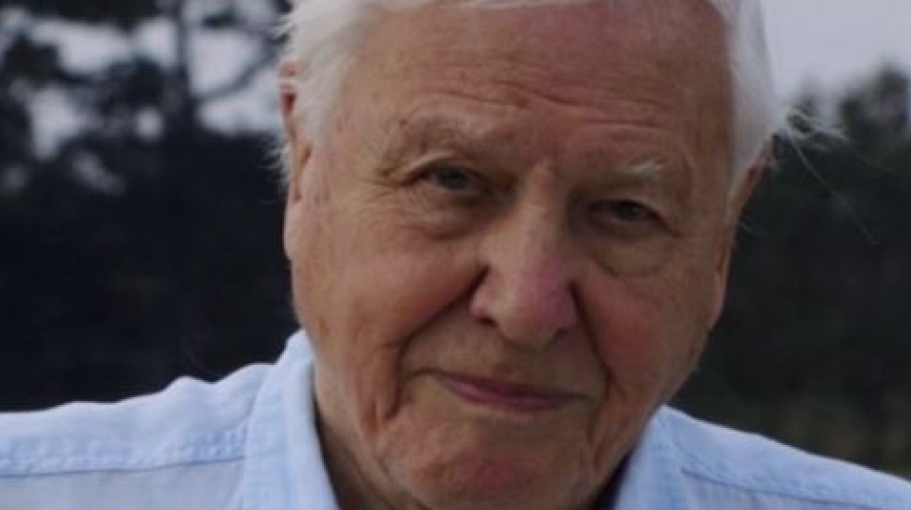 Sir David Attenborough